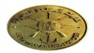 مصر.. مقتل طاقم طائرة عسكرية سقطت إثر عطل فني