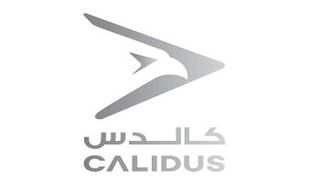 شعار مجموعة كالدس