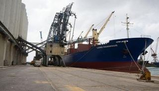 السفينة المحملة بالقمح - سانا