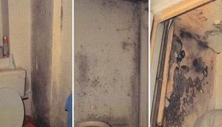 "وباء العفن" يغزو منازل بريطانيا