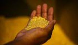 مالي تعزز سيادتها التعدينية.. امتلاك 62% من مصفاة الذهب الوطنية