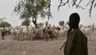 «نزيف الفولاني» في توغو.. «رعاة ترانزيت» بين فكي الإرهاب والاتهامات