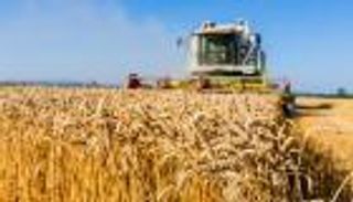 من الانكماش إلى الانتعاش.. الزراعة الرومانية تتجاوز أزمات الجفاف