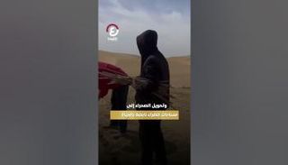 شاب صيني يصنع «معجزة خضراء»