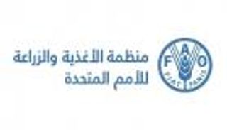 الفاو: 35% من مصائد المخزون السمكي العالمي «جائرة»