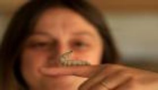 حرير ألبانيا.. صناعة قديمة تعود من جديد على يد نساء زادريما (صور)