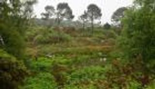 الكنز تحت التربة.. خريطة إشعاعية تضع إيرلندا في طليعة اقتصاد الكربون