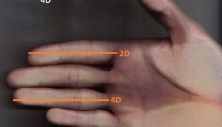 علماء يكشفون سرّ علاقة طول الأصابع بالقدرة الرياضية على التحمل