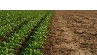 تدهور الأراضي الزراعية