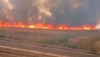  121 حريقًا في 15 يومًا.. صيف مشتعل يهدد غابات ومحاصيل تونس (خاص)