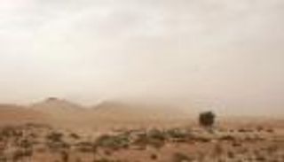 التصحر يزحف على تونس.. تهديد صامت للأرض ولقمة العيش