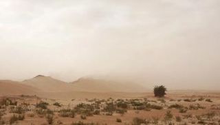 ظاهرة التصحر في تونس