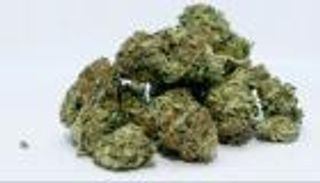 دراسة صادمة: القنب أكثر ضررا على القلب من الكوكايين