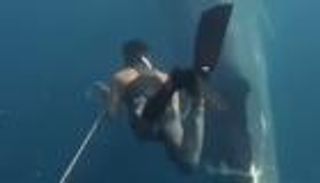 شاهد غواص صيني ينقذ حوتا أزرق عالقا بحبل خلال رحلة سياحية في المكسيك