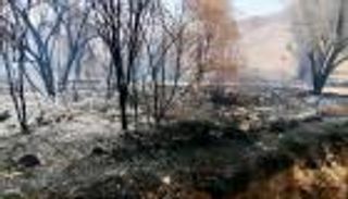 مسؤول يمني يكشف لـ«العين الإخبارية» أسباب الحريق الكبير في وادي دوعن