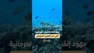 إنقاذ الشعاب المرجانية في بحر الصين الجنوبي