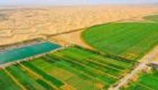 معجزة خضراء في صحراء تاكلامكان بالصين