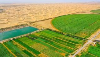 صحراء تاكلامكان بالصين