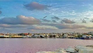 تلوث شواطئ محافظة المنستير التونسية