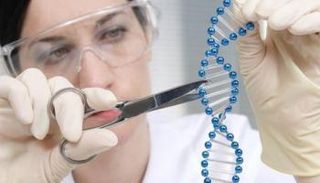 آلية جينية لاستعادة الأطراف المفقودة