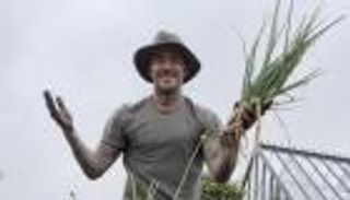 «جزرة» تحرج بيكهام «المزارع» أمام زوجته (فيديو)