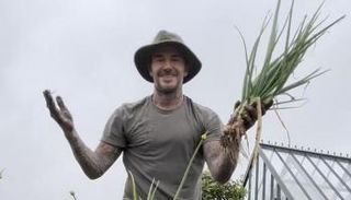 ديفيد بيكهام