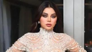 الفنانة هيفاء وهبي 