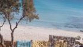 سلقطة التونسية.. لؤلؤة الشواطئ وأنشودة الطبيعة