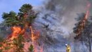 حرائق تشتعل في 12 كيلومترا بفرنسا.. والسبب «باربكيو»