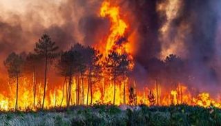 حرائق الغابات في جنوب فرنسا - أرشيفية