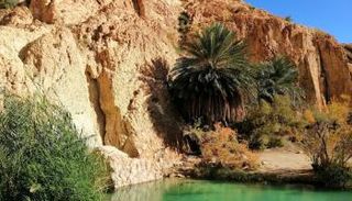 الواحات الجبلية بالشبيكة