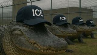 صورة معدلة لتماسيح ترتدي قبعات إدارة الهجرة الأمريكية