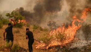 حريق غابة في تركيا