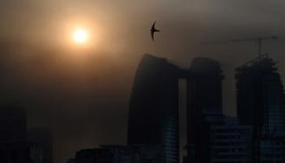 دخان كثيف في سماء كييف 