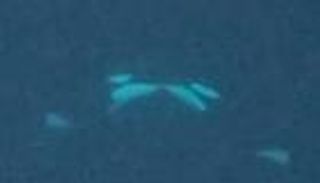 سلوك غريب بين حيتان الأوركا.. «قبلة فرنسية» تحت الماء تثير دهشة العلماء