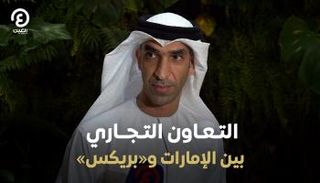 الدكتور ثاني بن أحمد الزيودي