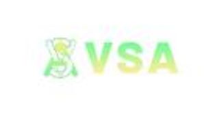 VSA تخدع آلاف الضحايا في مصر.. استولت على 3 مليارات جنيه