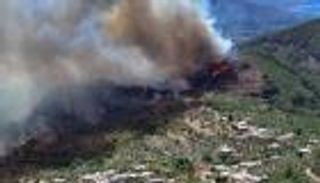 اللاذقية تحترق.. النيران تلتهم 14 ألف هكتار من الغابات وسط ألغام الحرب