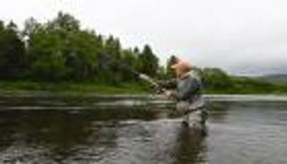 أزمة السلمون.. تغير المناخ وتربية الأسماك يهددان كنز الأنهار النرويجية (صور)