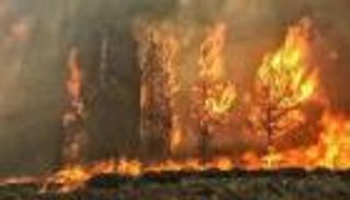 حرائق اللاذقية.. النيران تقترب من المنازل ومناشدات لتفادي الكارثة