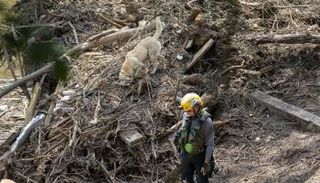 فيضانات تكساس