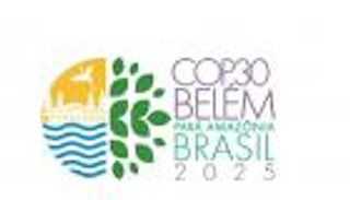 ما دور COP30 في المساهمات المحددة وطنيًا؟