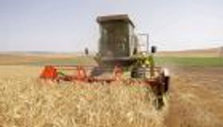 وزارة الزراعة التونسية: محصول الحبوب يسجل أعلى مستوياته منذ 5 سنوات