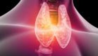 علاج الغدة الدرقية في فرنسا.. إعلان موعد توقف تسويق «سينوميل» 