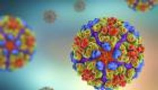 «الصحة العالمية» تبدي قلقها من انتشار فيروس شيكونجونيا