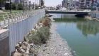 نهر العشار يحتضر: موجة نفوق جماعي للأسماك تهز العراق