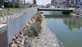 نفوق جماعي لأسماك نهر العشار في العراق