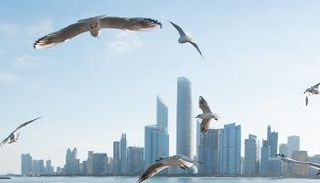 الإمارات تتصدر العالم في الأمان لعام 2025