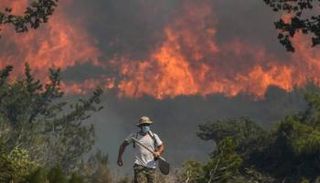 حرائق الغابات في قبرص 