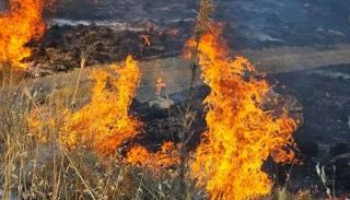 احتواء حريق غابات في قبرص 